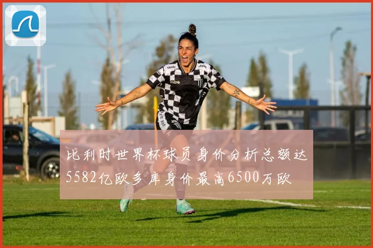 比利时世界杯球员身价分析总额达5582亿欧多库身价最高6500万欧