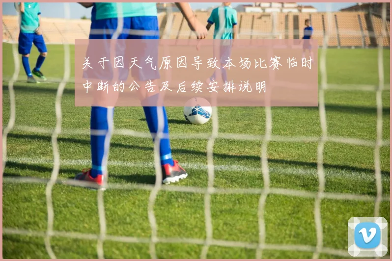 关于因天气原因导致本场比赛临时中断的公告及后续安排说明